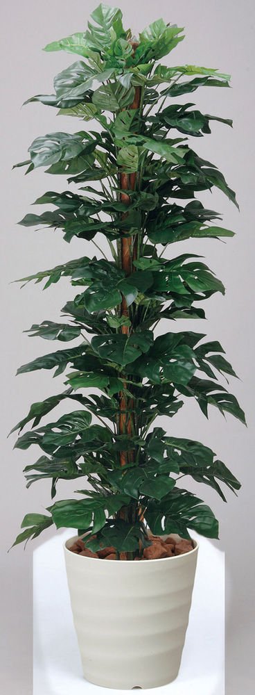 光触媒 人工観葉植物 スプリットフィロ 1.8 (高さ180cm) - 店舗用品