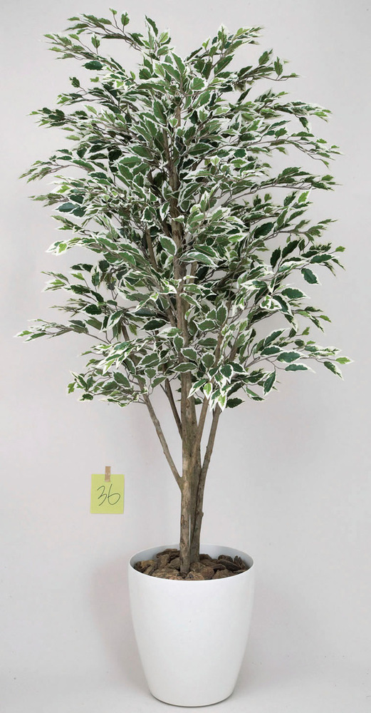 光触媒　人工観葉植物　フェイクグリーン　トロピカルベンジャミン斑入リ 1.8m