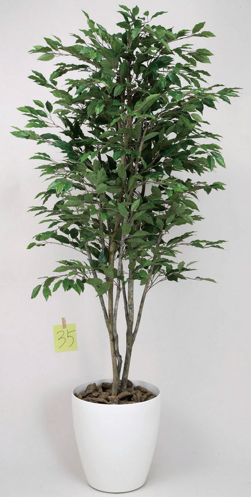 光触媒 人工観葉植物 ベンジャミンツリー 1.6 (高さ160cm) - 店舗用品