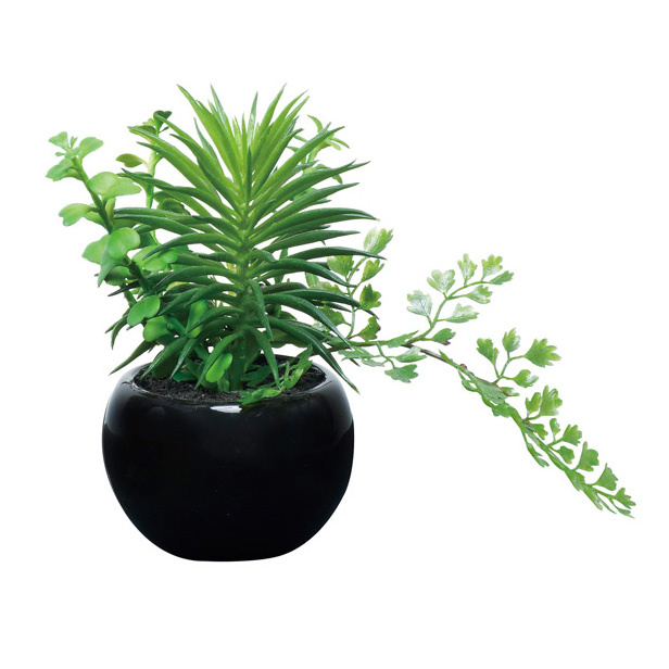 光触媒 人工観葉植物 造花 ミックスインポット(ポリ製) (高さ15cm)