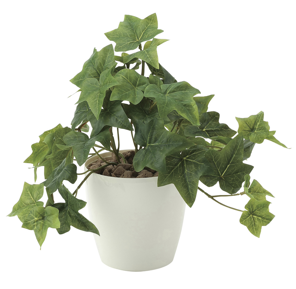 光触媒 人工観葉植物 フレッシュアイビーS (高さ25cm) - 店舗用品通販のサインモール