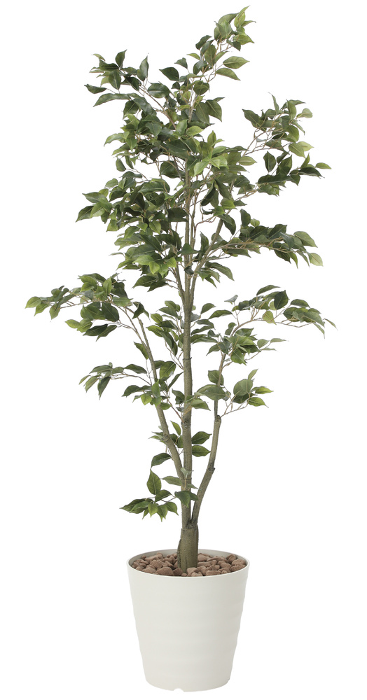 光触媒 人工観葉植物 フィカスツリー1.8 (高さ180cm) - 店舗用品通販の