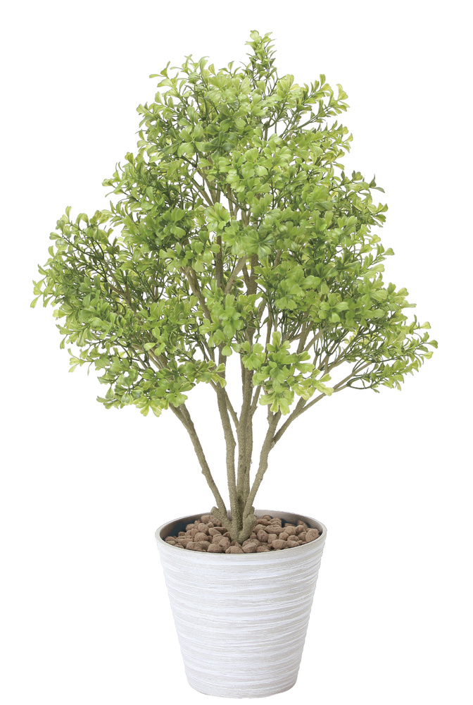 光触媒 人工観葉植物 ボックスウッド(ポリ製) (高さ70cm) - 店舗用品