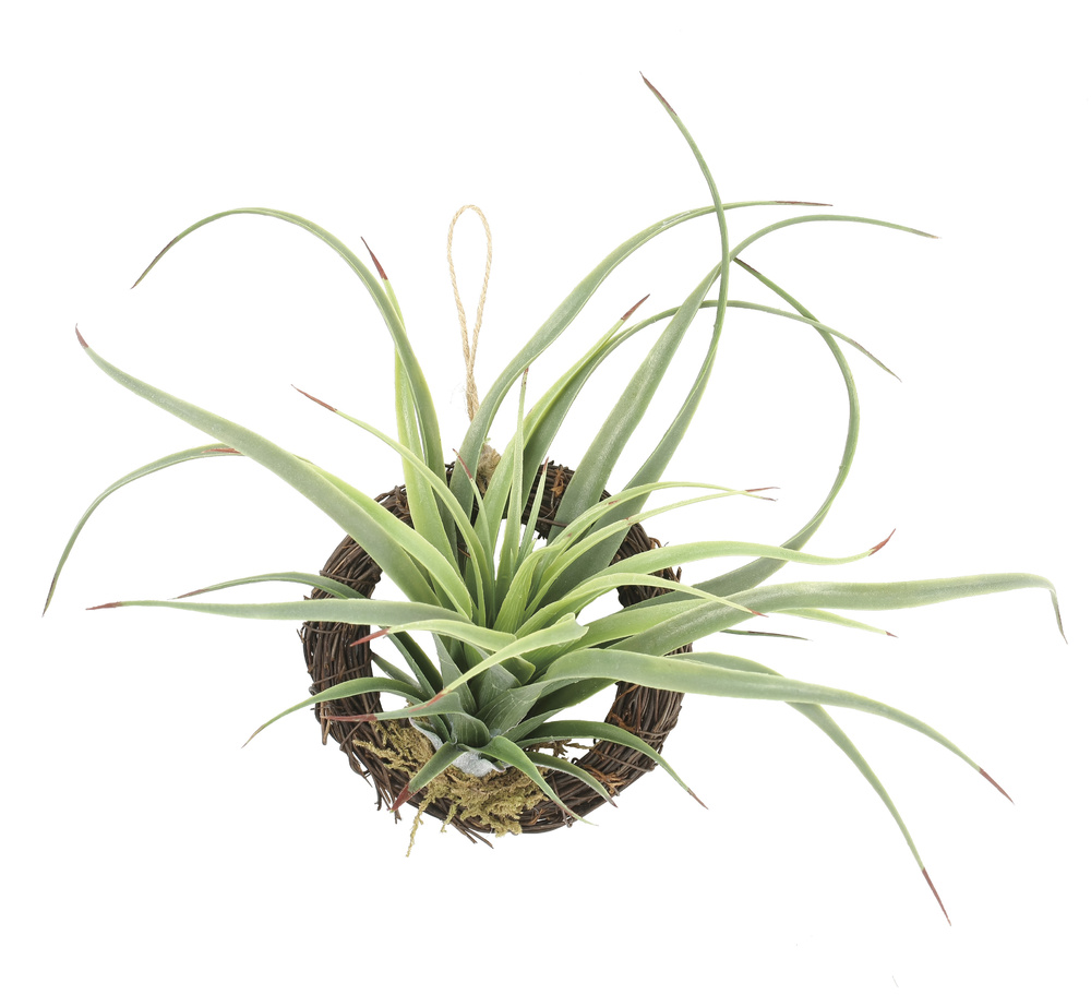 エアープランツr ポリ製 人工観葉植物 高さ19cm 光触媒機能付 866a25 店舗用品通販のサインモール