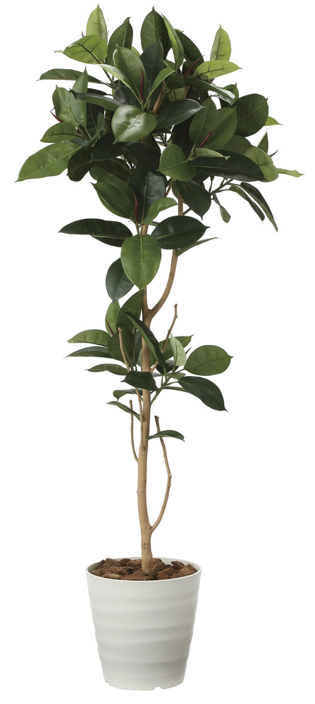 オンラインオファー 光触媒 人工観葉植物 光の楽園 ゴムの木1.25m