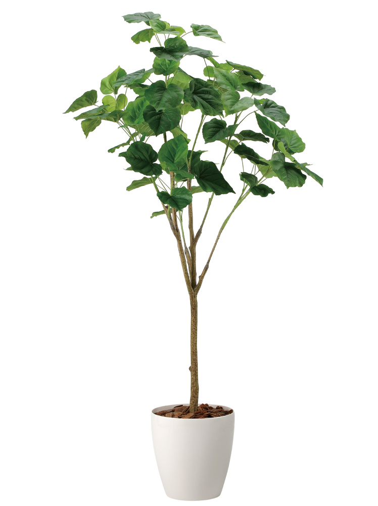 光触媒 人工観葉植物 造花 フィカスウンベラータ1.7 (高さ170cm)