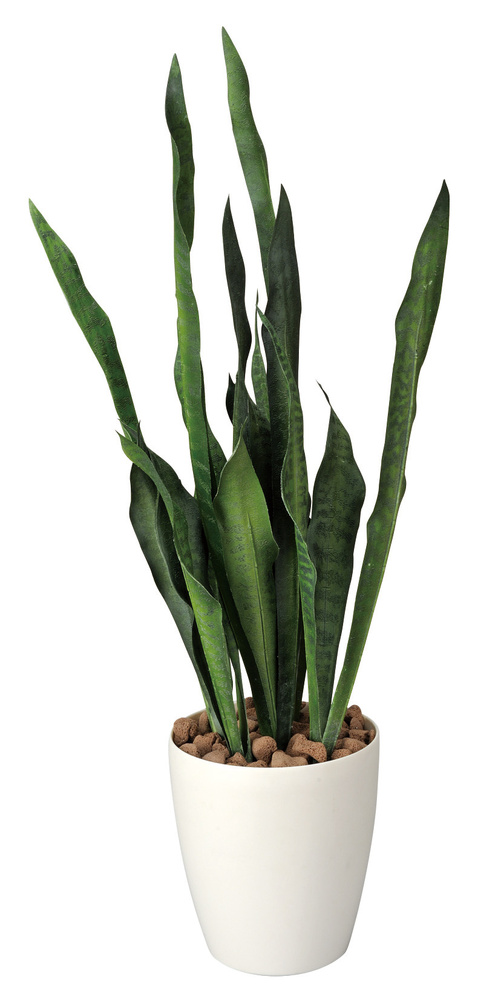 光触媒 人工観葉植物 造花 サンセベリア(ポリ製) (高さ68cm)