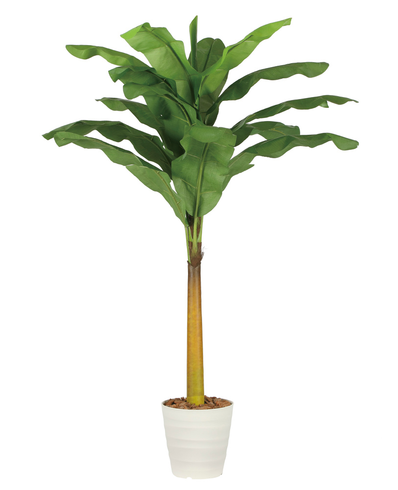 光触媒 人工観葉植物 造花 バナナ2.1(組立式) (高さ210cm)