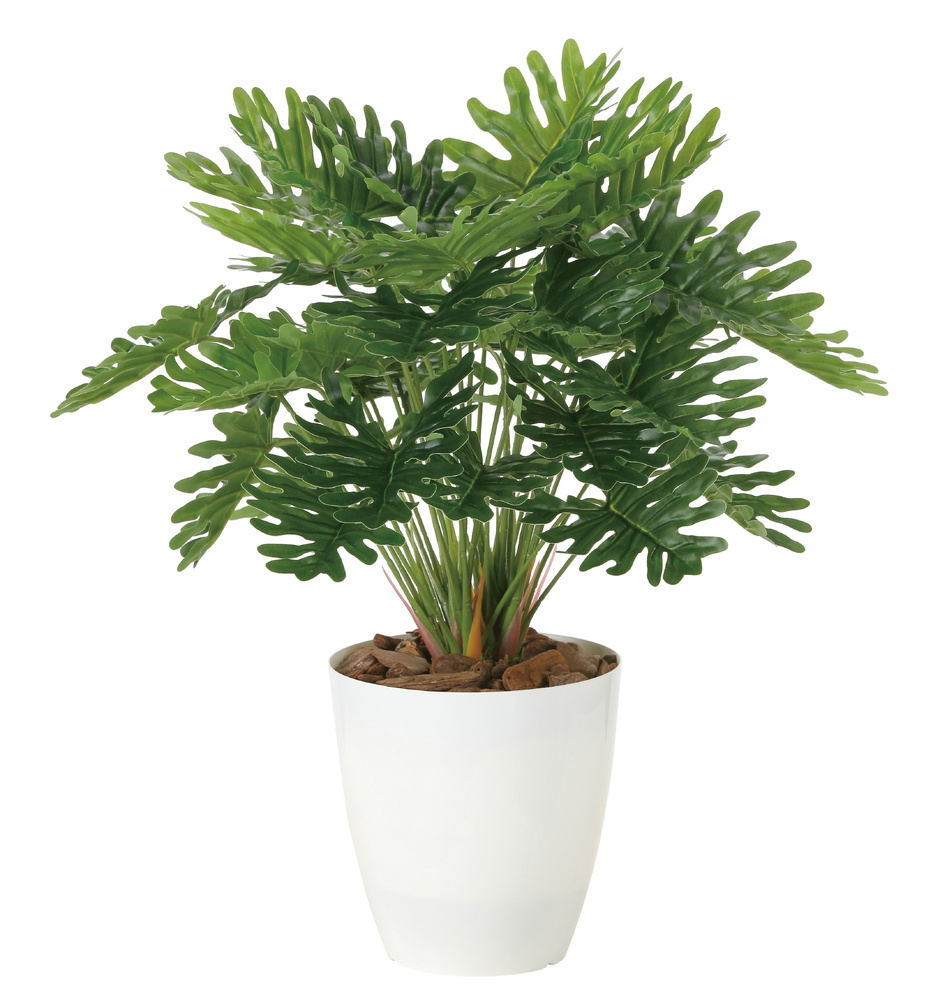 光触媒 人工観葉植物 造花 フレッシュクッカバラM  (高さ45cm)