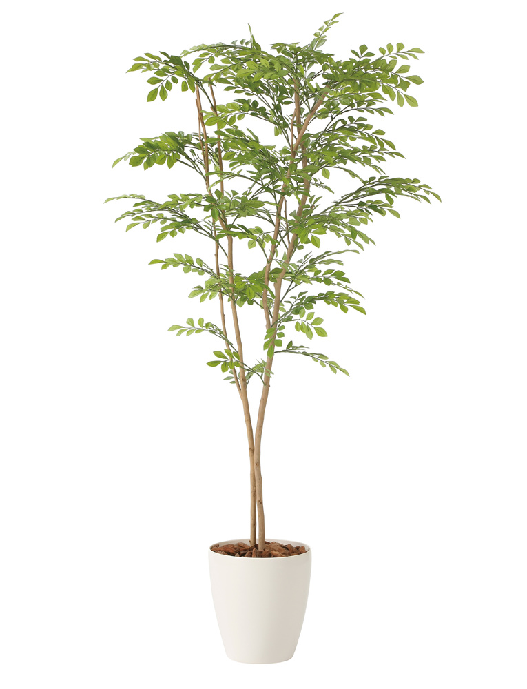 光触媒 人工観葉植物 造花 ライトトネリコ1.6 (高さ160cm)