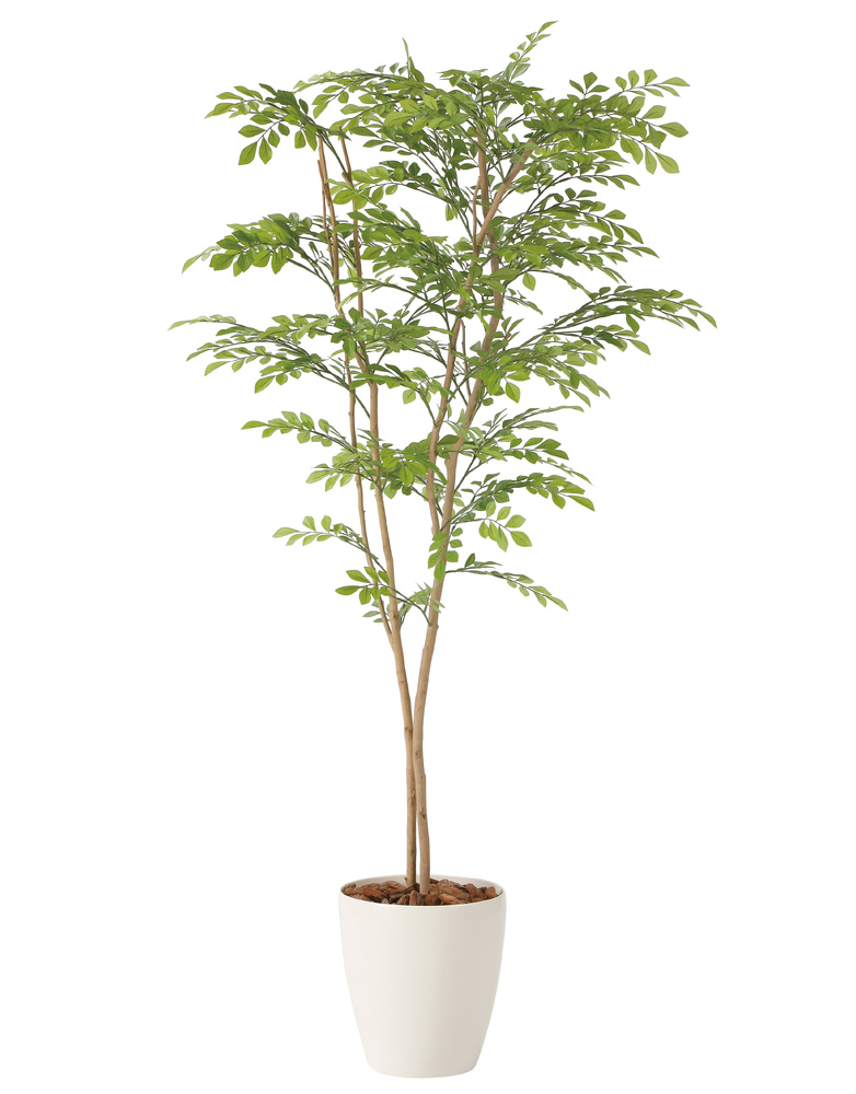光触媒 人工観葉植物 造花 ライトトネリコ1.0 (高さ100cm)