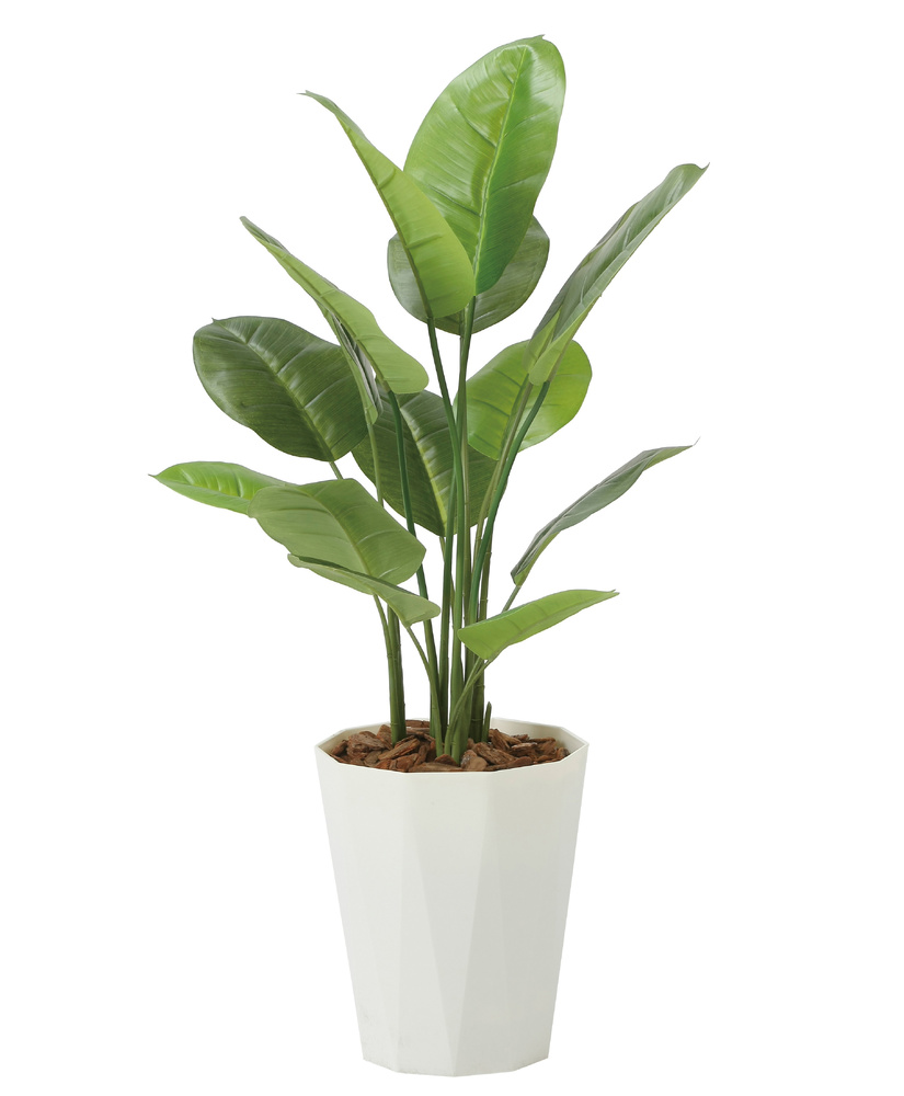 光触媒 人工観葉植物 造花 フレッシュスキンダプサス1.0 (高さ100cm)