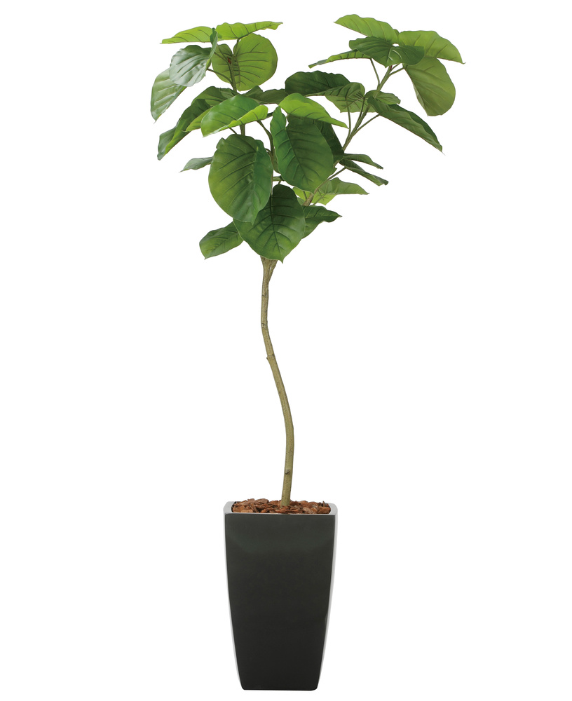 光触媒 人工観葉植物 造花 フレッシュアーバンウンベラータ1.8 (高さ180cm)