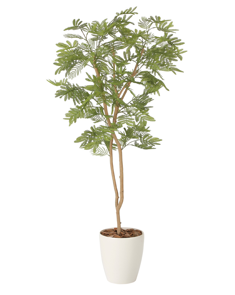 光触媒 人工観葉植物 造花 ねむの木1.3(ポリ製) (高さ130cm)