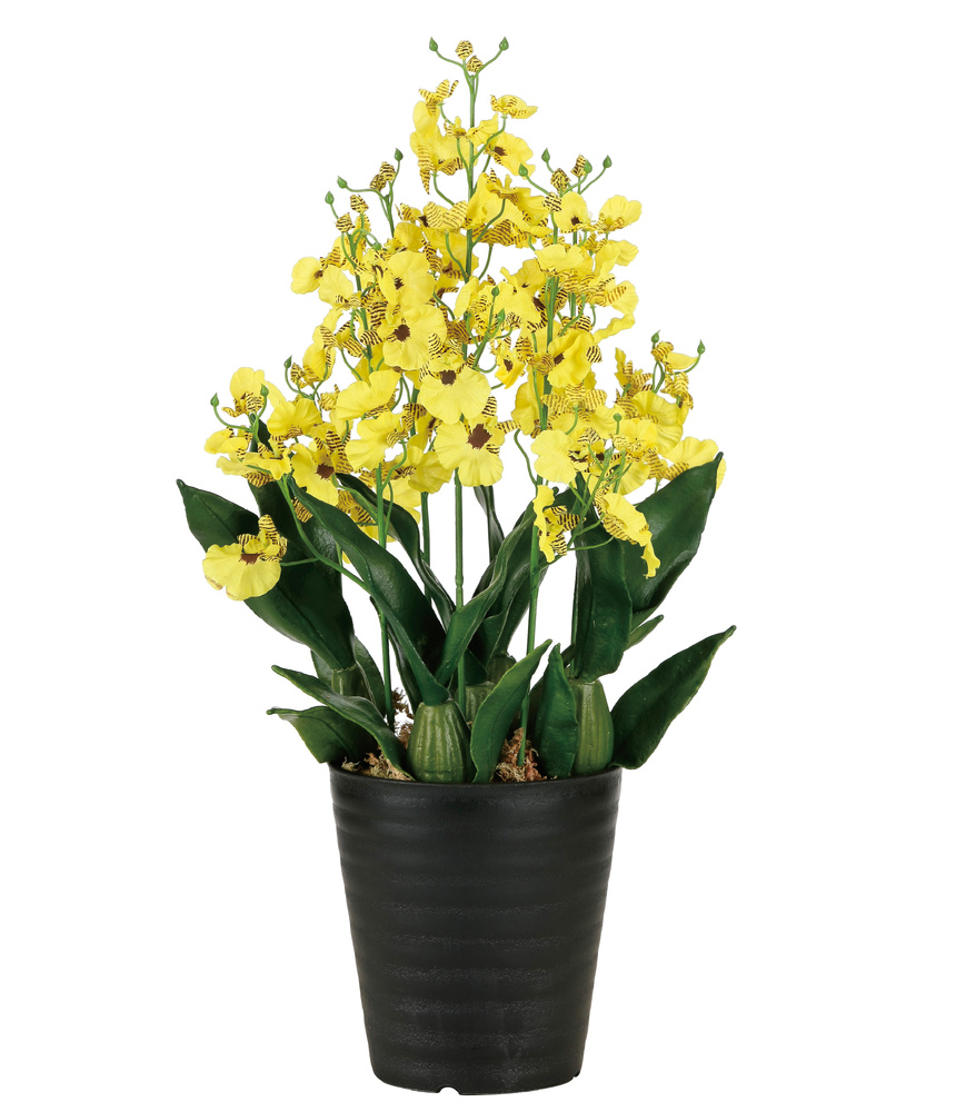 光触媒 人工観葉植物 造花 オンシジュームL (高さ53cm)