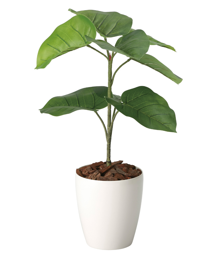 光触媒 人工観葉植物 造花 フレッシュウンベラータ60 (高さ60cm)