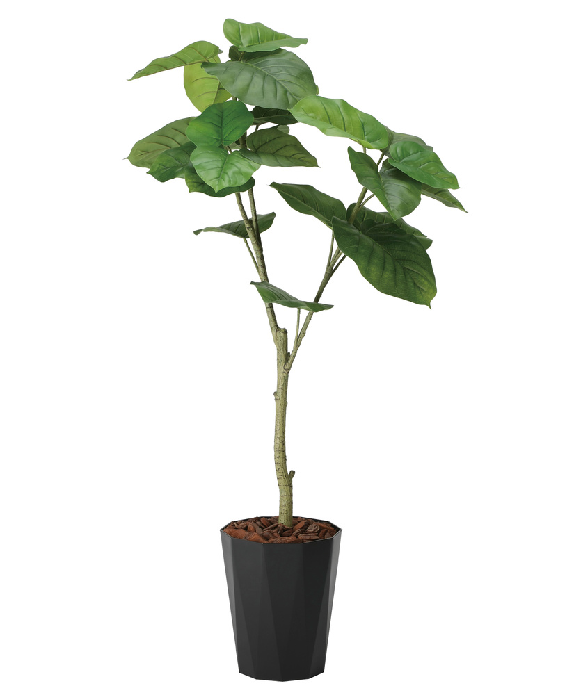 光触媒 人工観葉植物 造花 フレッシュウンベラータ1.35 (高さ135cm)