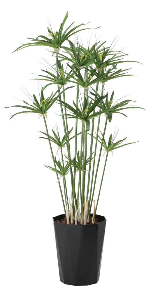 光触媒 人工観葉植物 造花 パピルス1.25 (高さ125cm)