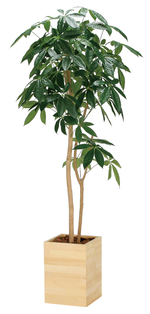 光触媒 人工観葉植物 造花 ウッドボックスパキラ1.6 (高さ160cm)