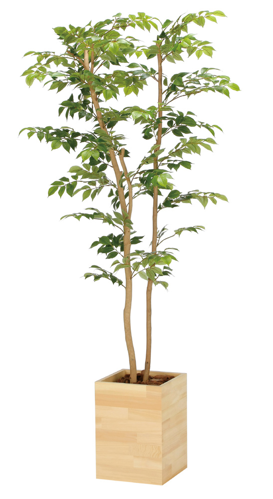 光触媒 人工観葉植物 造花 ウッドボックスマウンテンアッシュ1.6 (高さ160cm)