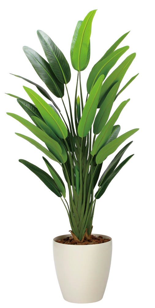 光触媒 人工観葉植物 造花 フレッシュトラベラーズパーム1.7 (高さ170cm)