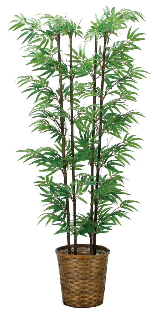 光触媒 人工観葉植物 造花 黒竹1.6(幹:天然黒竹) (高さ160cm)