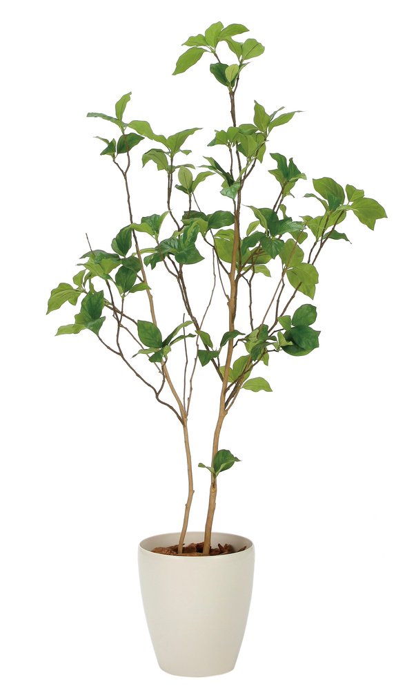 光触媒 人工観葉植物 造花 サラサドウダン1.2 (高さ120cm)