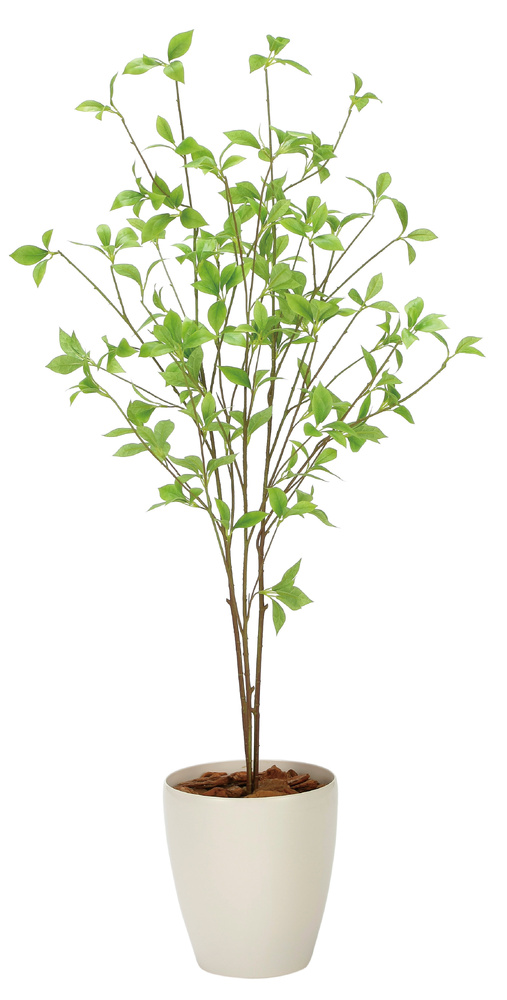 光触媒 人工観葉植物 造花 クロモジ1.2 (高さ120cm)