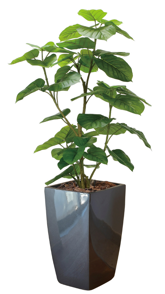 光触媒 人工観葉植物 造花 フレッシュDXウンベラータ1.6 (高さ160cm)