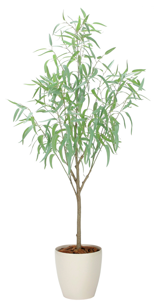 光触媒 人工観葉植物 造花 フレッシュシルバーユーカリ1.7 (高さ170cm)