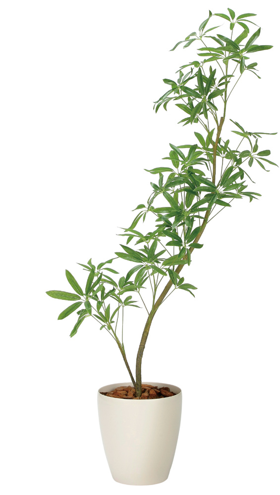 光触媒 人工観葉植物 造花 フレッシュインテリアシェフレラ1.45 (高さ145cm)