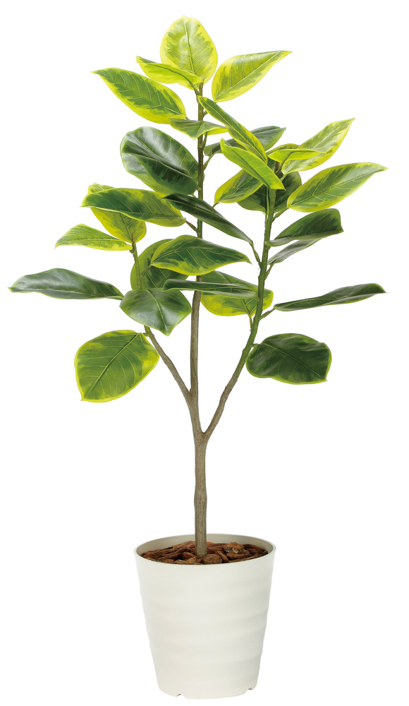 光触媒 人工観葉植物 造花 フレッシュアルテシマ1.35 (高さ135cm)