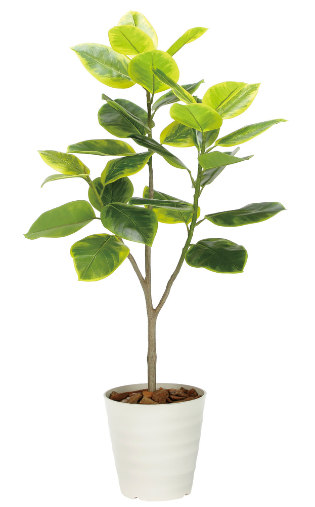 光触媒 人工観葉植物 造花 フレッシュアルテシマ1.65 (高さ165cm)