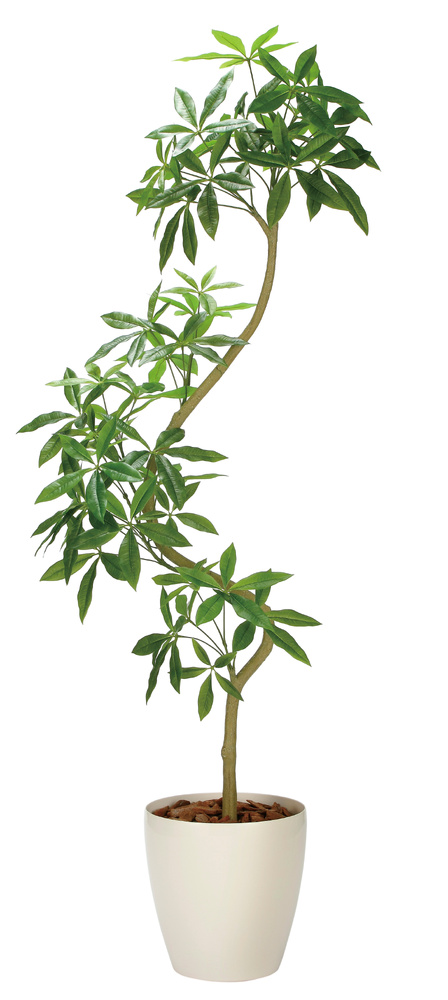 光触媒 人工観葉植物 造花 ツイストパキラ2.1(組立式) (高さ210cm)