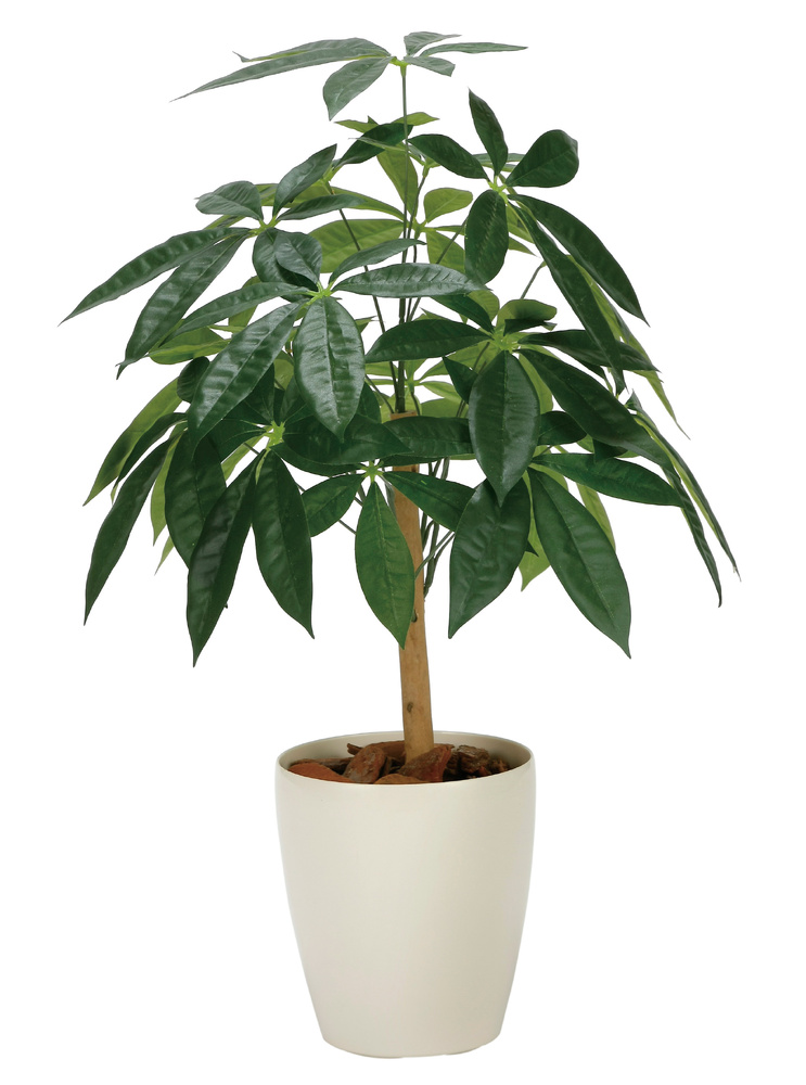 光触媒 人工観葉植物 造花 パキラリーフツリー72 (高さ72cm)