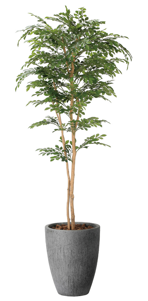 光触媒 人工観葉植物 造花 ナチュラルトネリコ1.8 (高さ180cm)