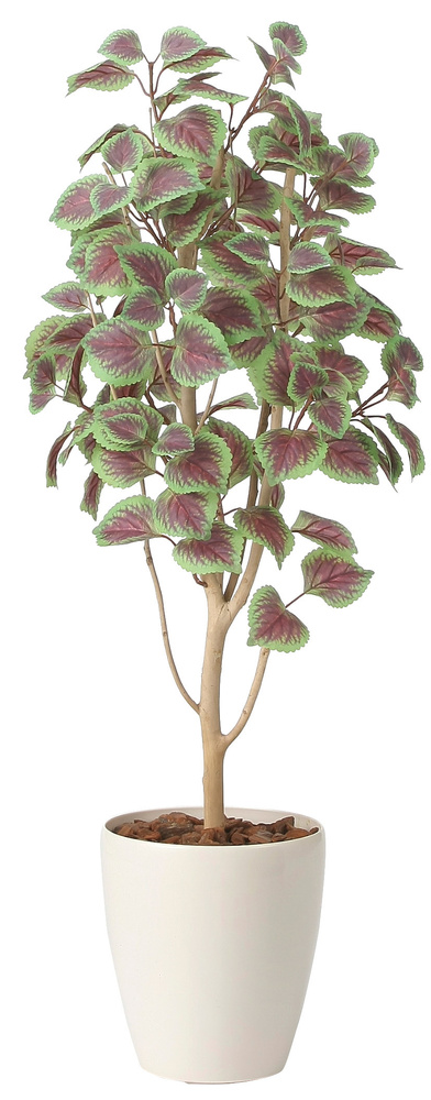 光触媒 人工観葉植物 造花 コリウス1.1 (高さ110cm)