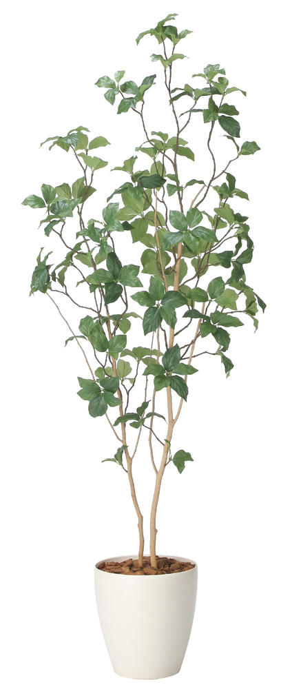 光触媒 人工観葉植物 造花 サラサドウダン1.6 (高さ160cm)