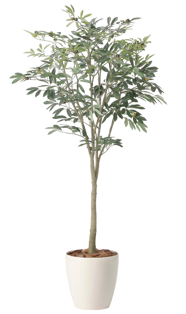 光触媒 人工観葉植物 造花 オリーブツリー1.7 (高さ170cm)