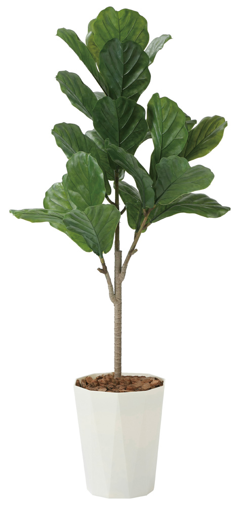 光触媒 人工観葉植物 造花 カシワバゴム1.25(ポリ製) (高さ125cm)