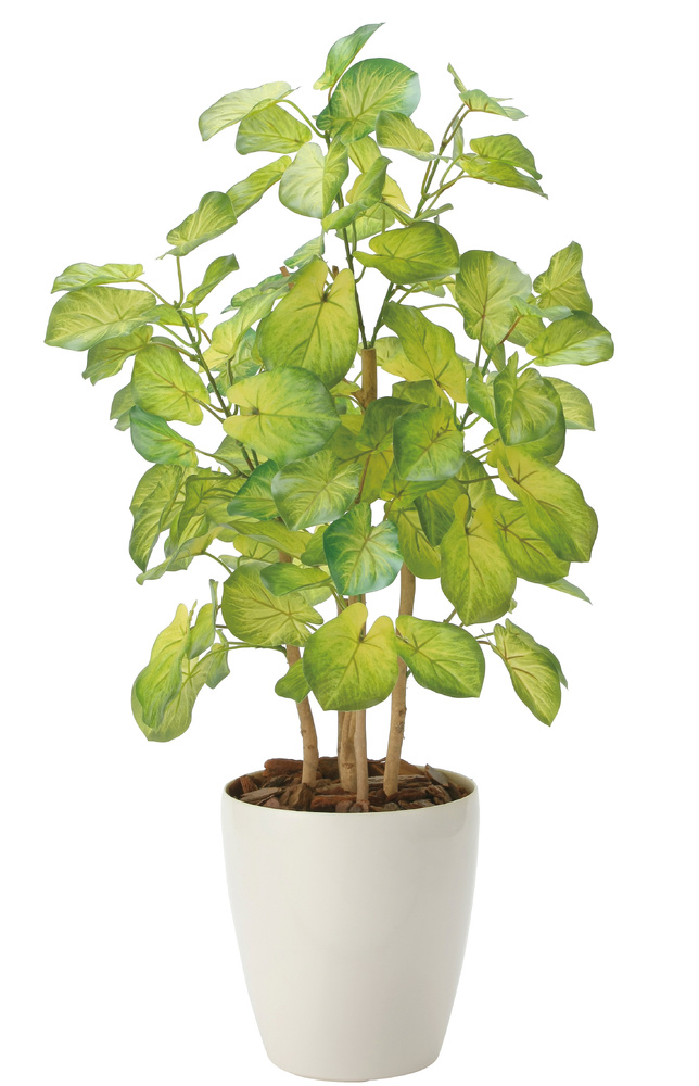 光触媒 人工観葉植物 造花 バウヒニア70 (高さ70cm)