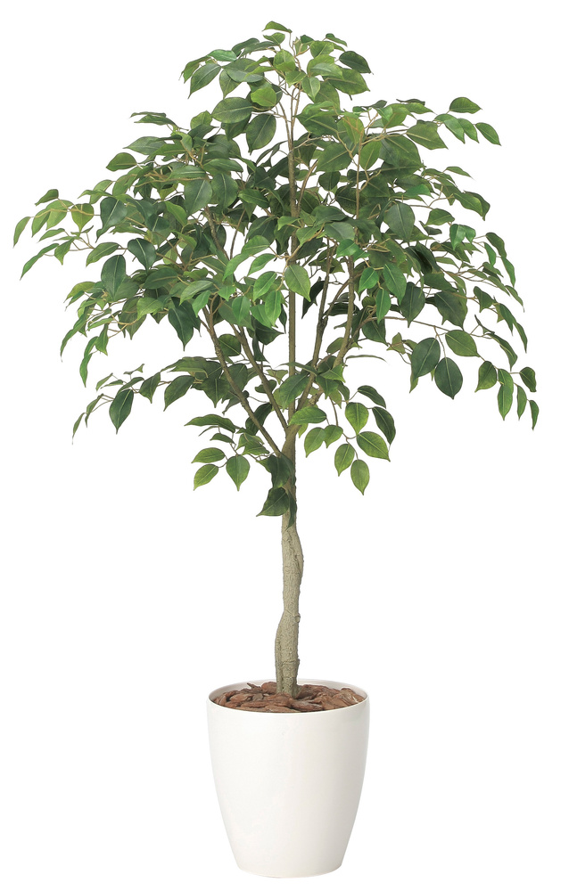 光触媒 人工観葉植物 造花 フィカスツリー1.35 (高さ135cm)