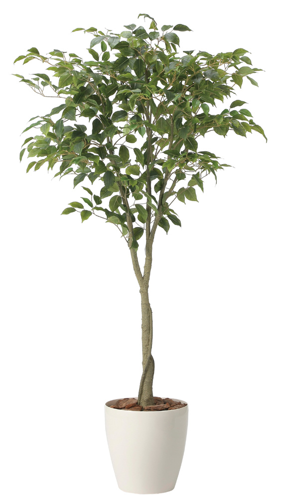 光触媒 人工観葉植物 造花 フィカスツリー1.65 (高さ165cm)