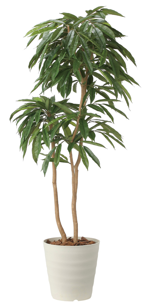光触媒 人工観葉植物 造花 アムステルラバーキング1.8 (高さ180cm)