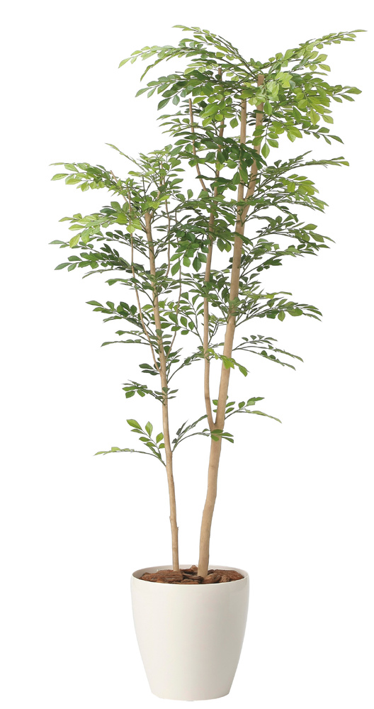 光触媒 人工観葉植物 造花 ツートントネリコ1.6 (高さ160cm)