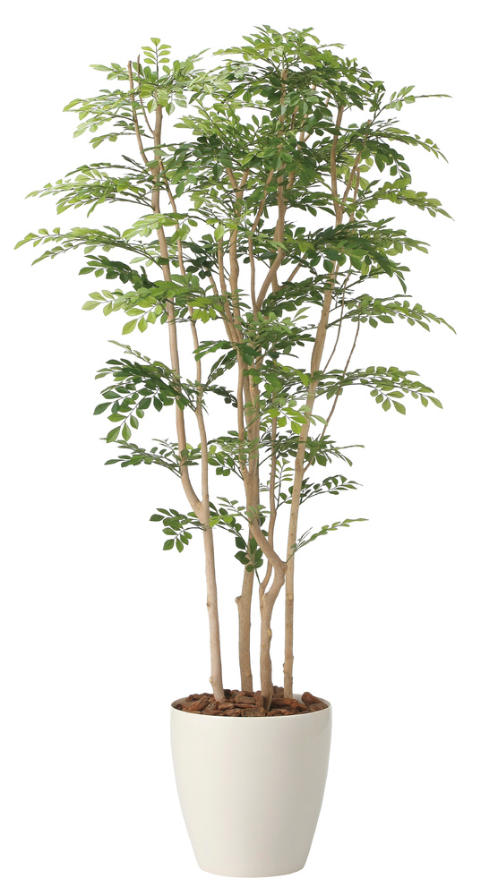 光触媒 人工観葉植物 造花 ツートントネリコ1.8 (高さ180cm)