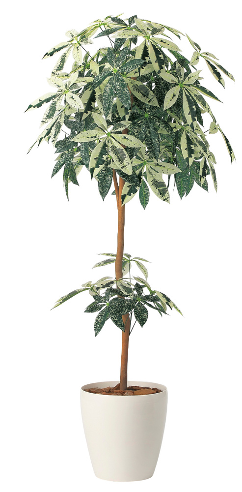 光触媒 人工観葉植物 造花 ミルキーパキラ1.6 (高さ160cm)