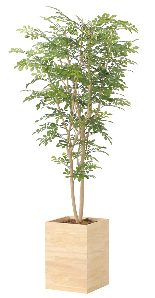 光触媒 人工観葉植物 造花 ウッドボックストネリコミックス1.8 (高さ180cm)