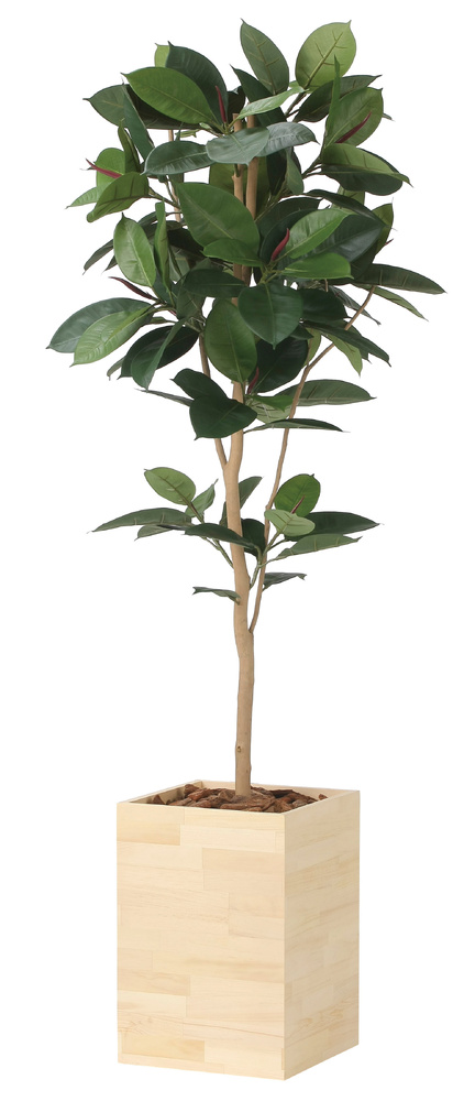 光触媒 人工観葉植物 造花 ウッドボックスゴムの木1.8 (高さ180cm)