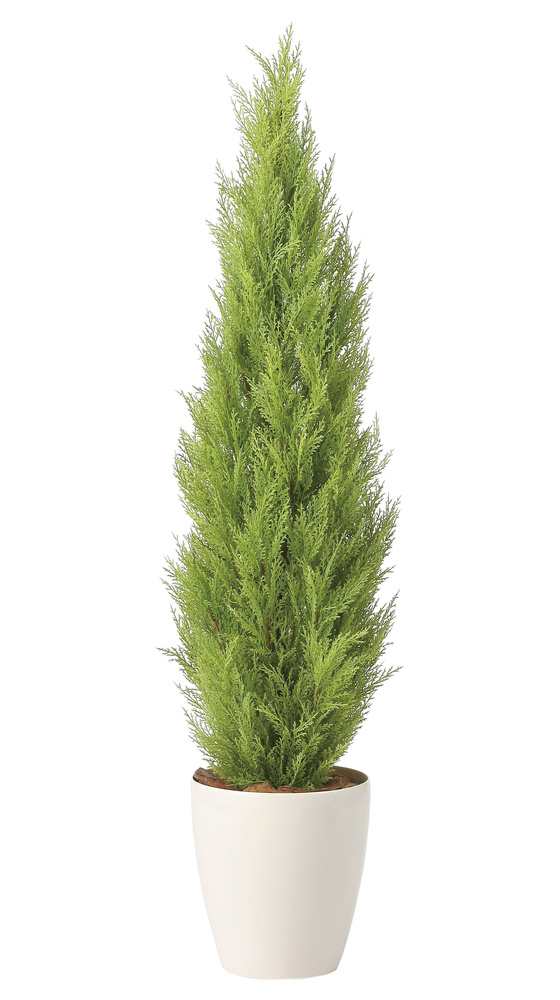 光触媒 人工観葉植物 造花 ゴールドクレスト1.35(ポリ製) (高さ135cm)